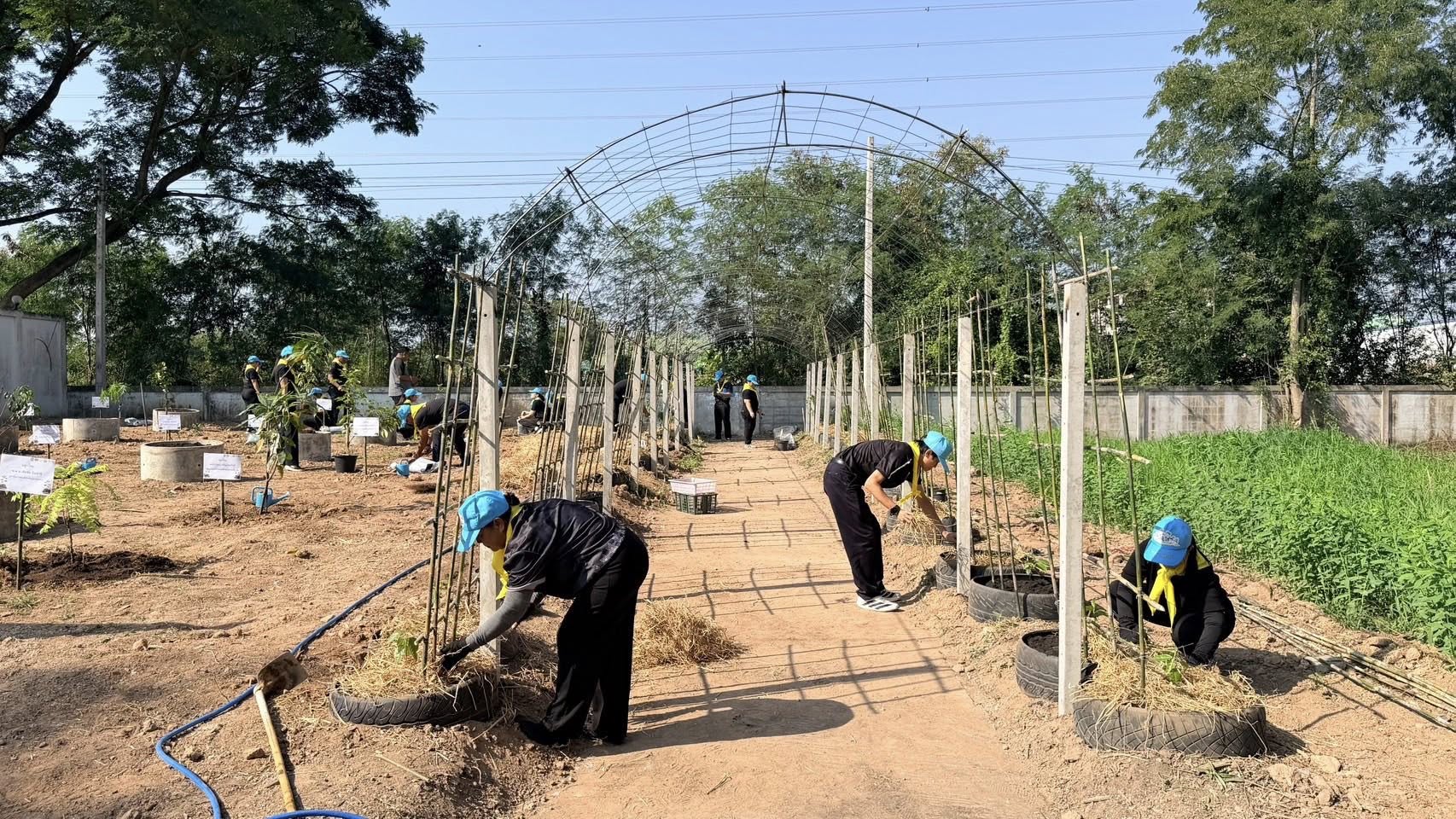 อำเภอปากท่อ ส่งเสริมการปลูกผักสวนครัว ลดรายจ่าย เพิ่มรายได้